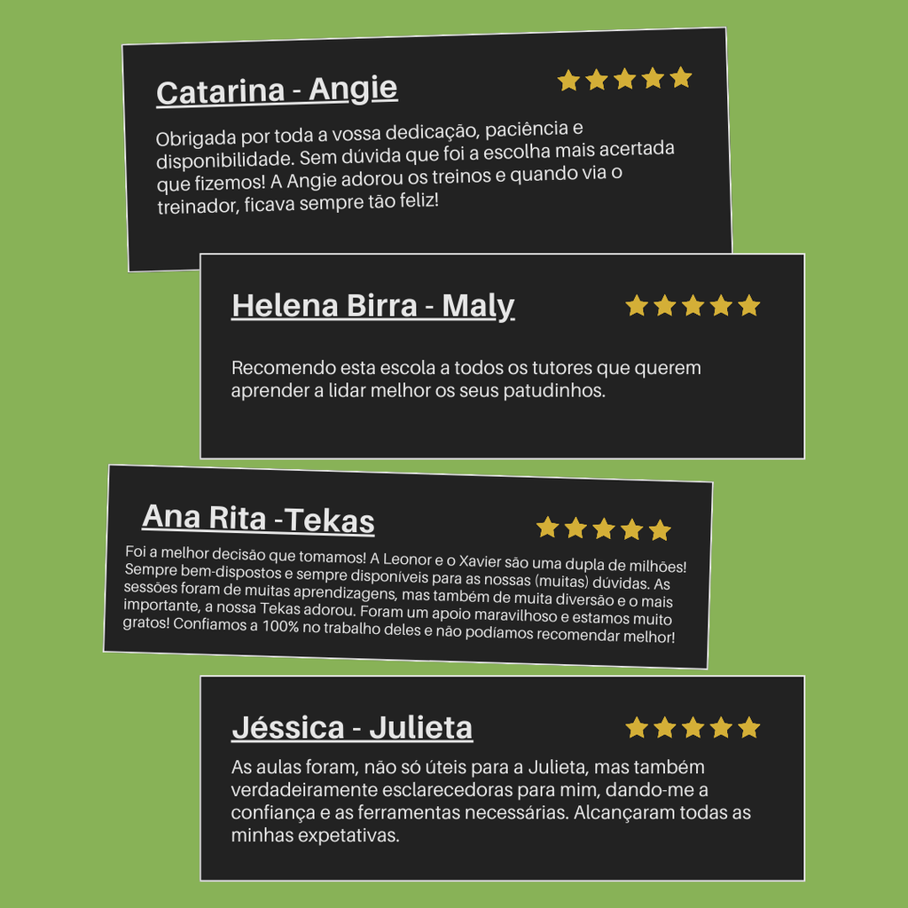 Treinos Caninos - Presencial e Online