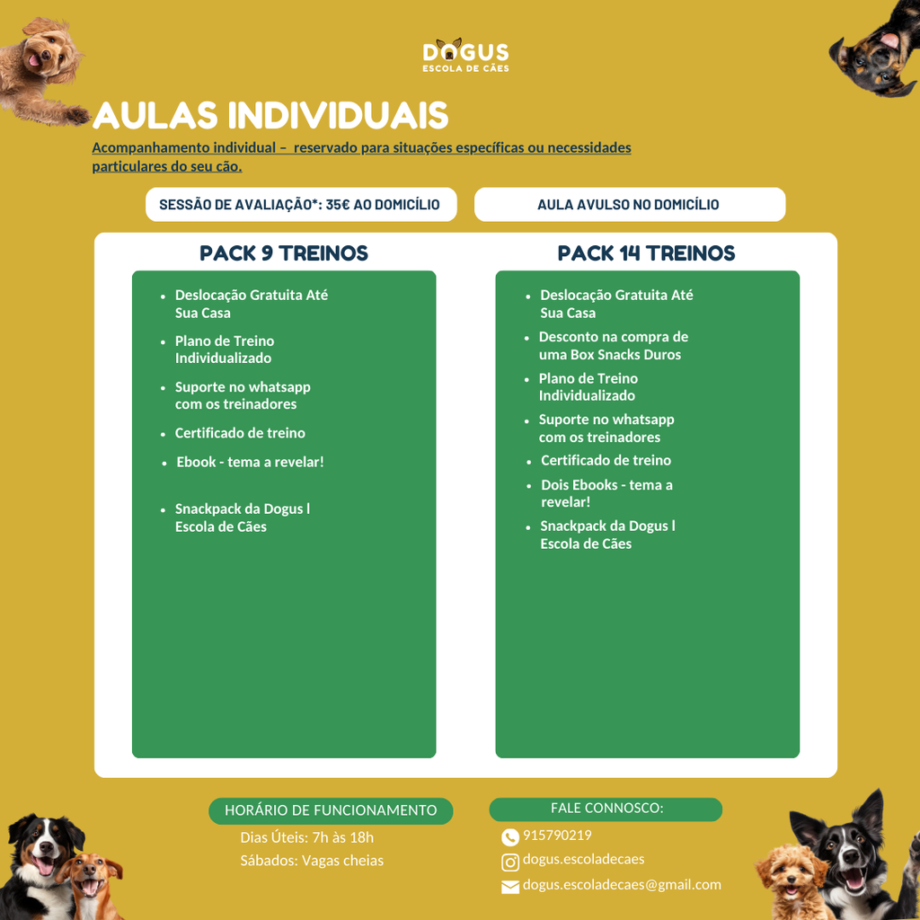 Treinos Caninos - Presencial e Online