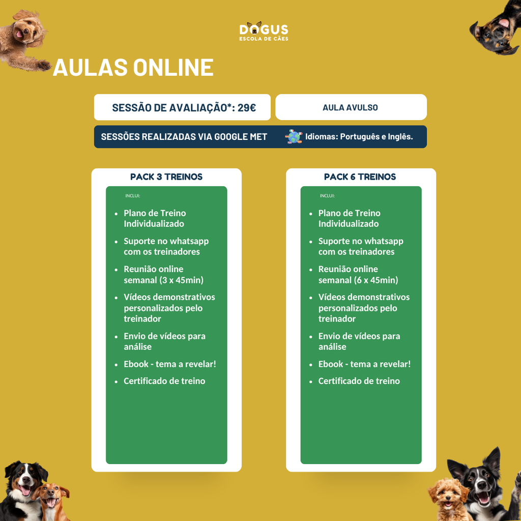 Treinos Caninos - Presencial e Online