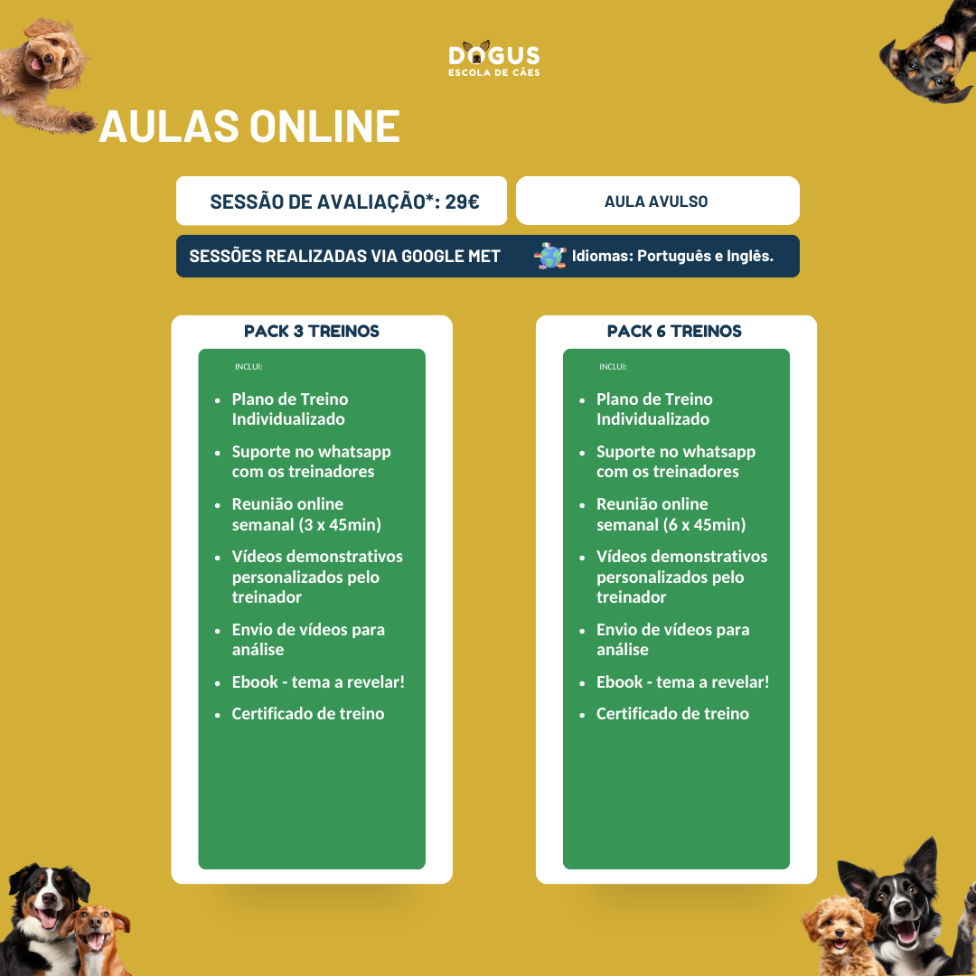 Treinos Caninos - Presencial e Online
