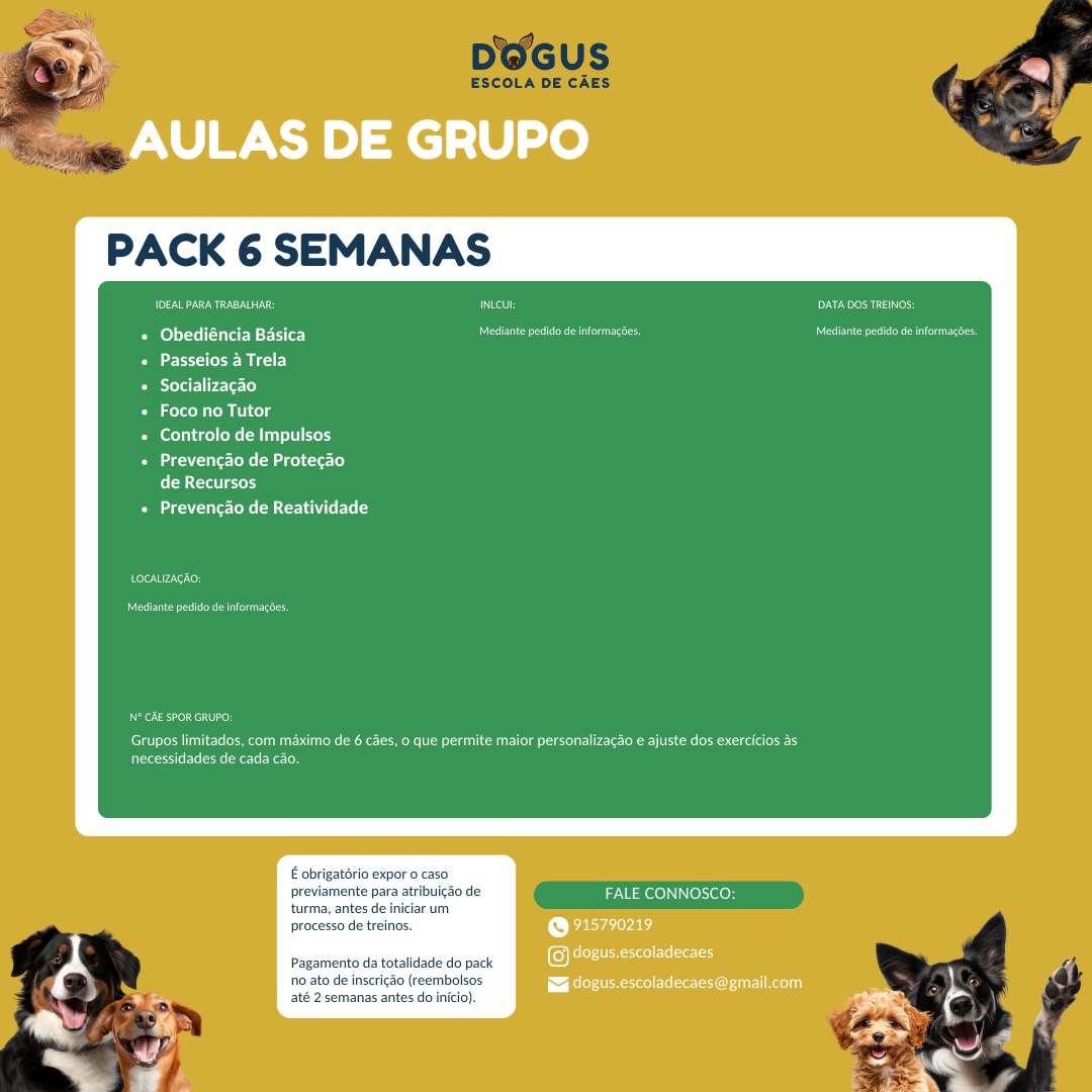 Aulas de Grupo