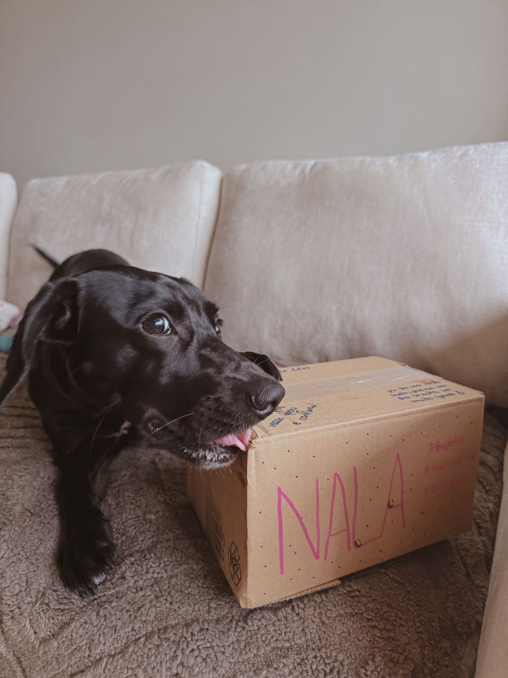 Box Duros - Gasta energias e salva a tua casa
